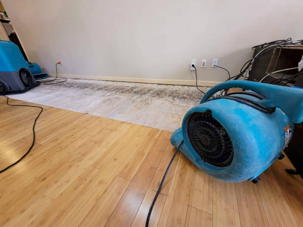 Professional Structural Drying technician working in Mount Saint Joseph, OH